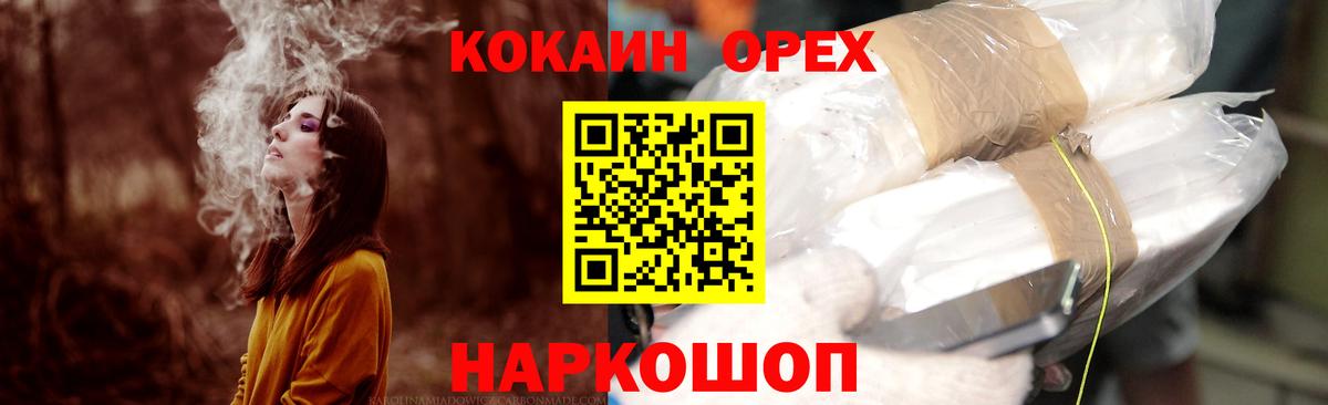 Киров  Cocaine Fish Scale  Вход с VPN 