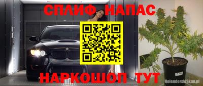 прущие грибы Краснокаменск