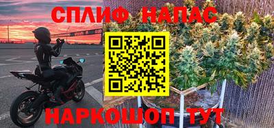 прущие грибы Краснокаменск