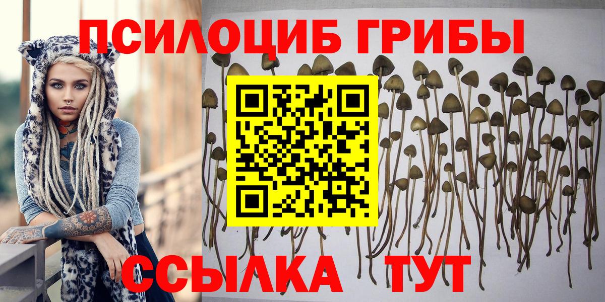 Галлюциногенные грибы GOLDEN TEACHER Киров